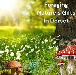 Dorset Foraging Experience. Wild Food. - Variant Days