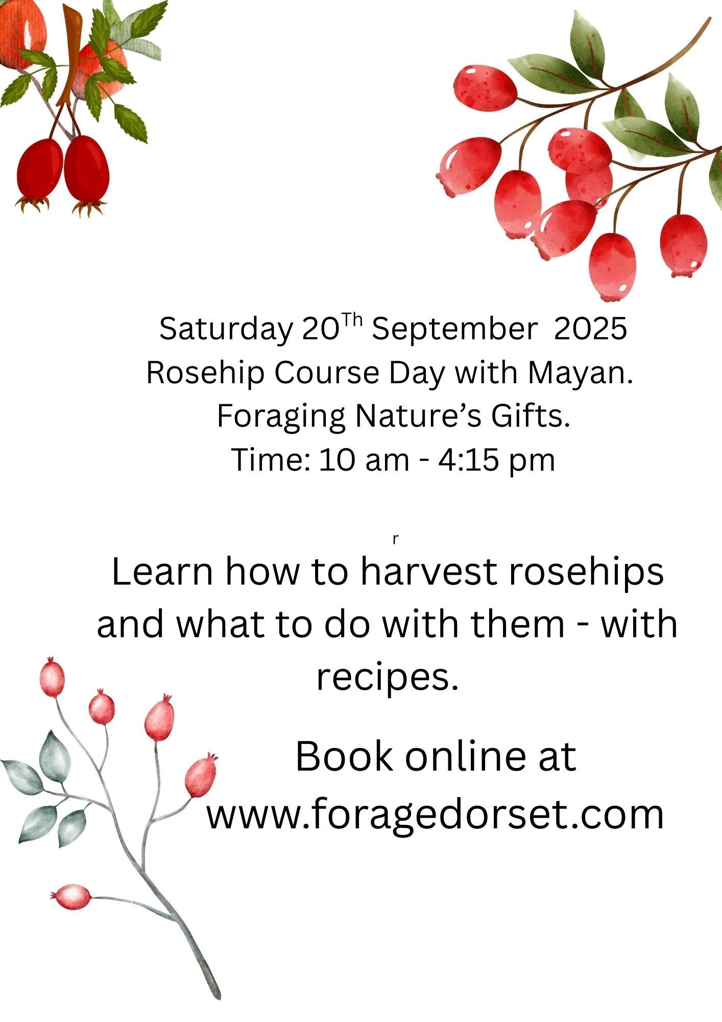 Dorset Foraging Experience. Wild Food. - Variant Days