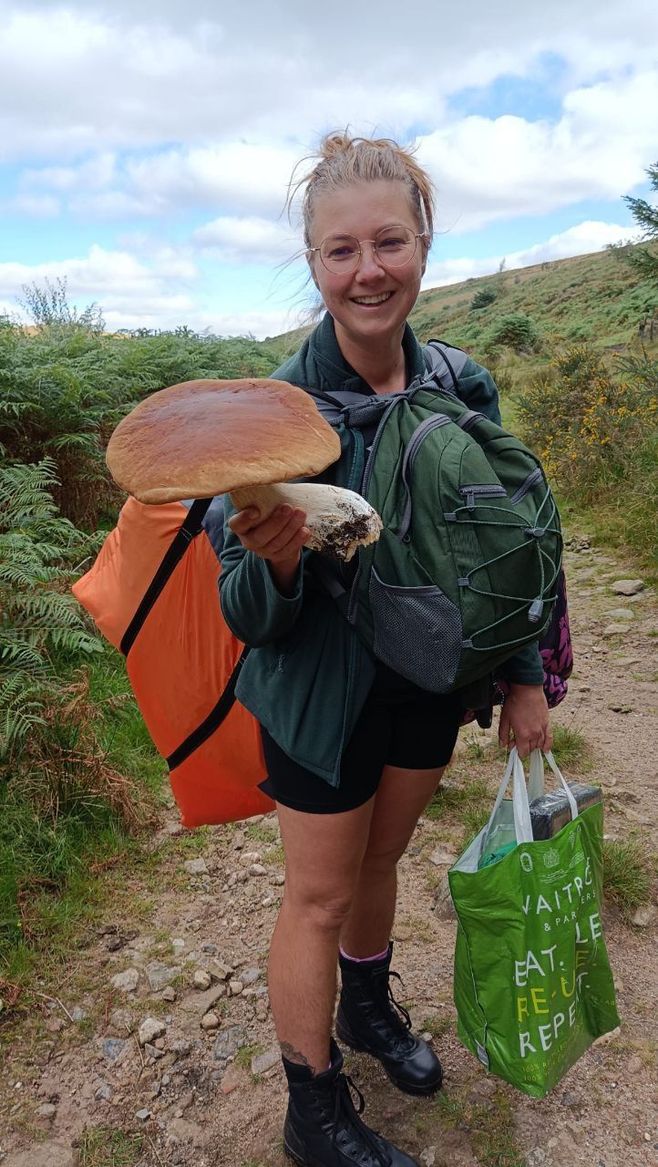 Fungi Walk - Mushroom Forage with Mayan