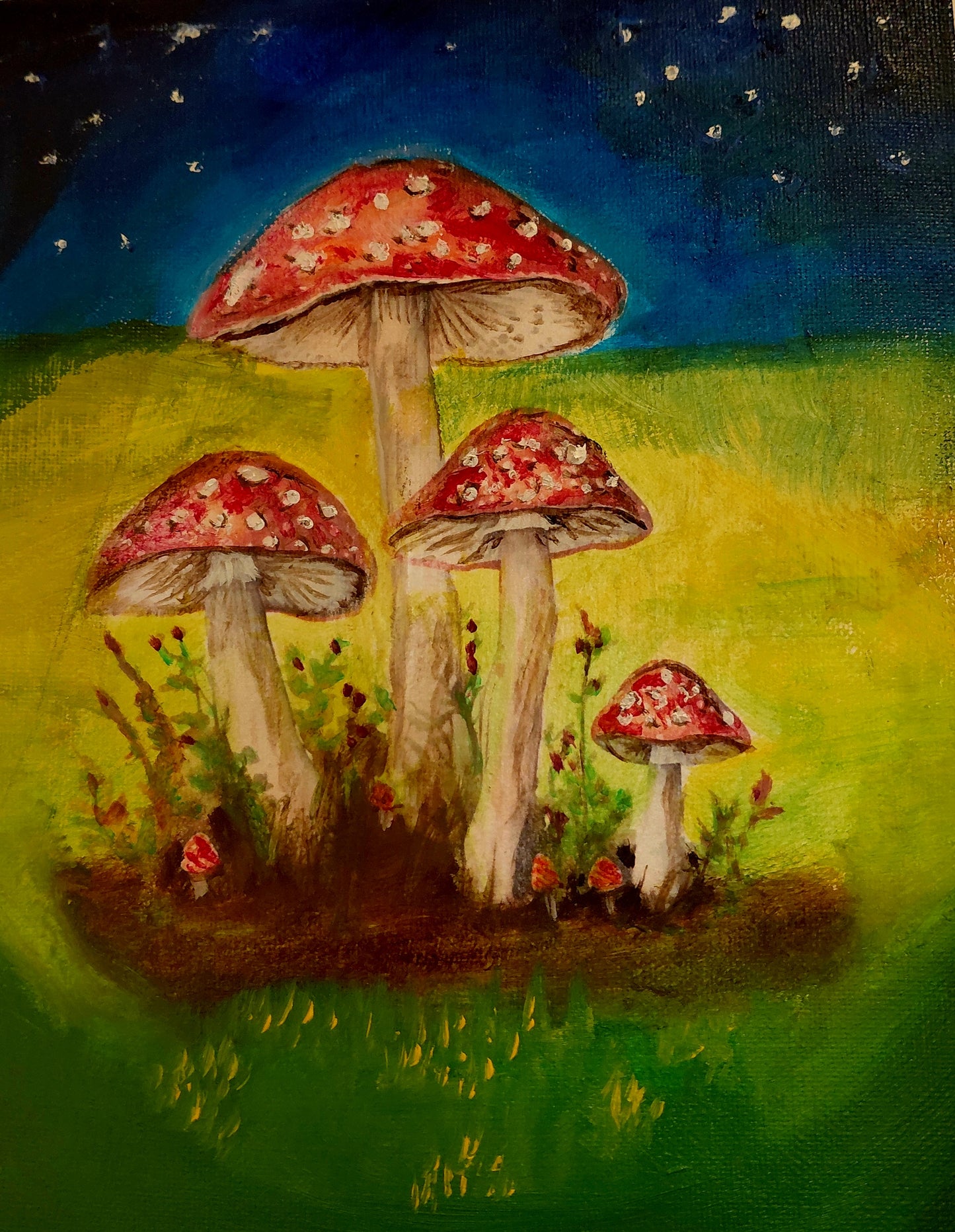 Moonlit Amanitas