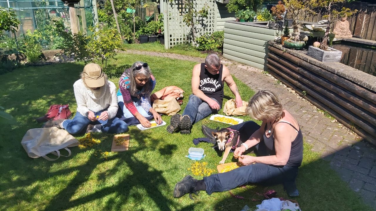 Dorset Foraging Experience. Wild Food. - Variant Days